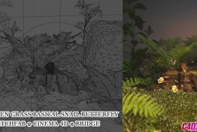 C4D草地蜗牛与蝴蝶渲染教程-温馨自然场景制作