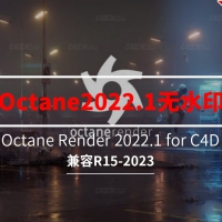C4DOCȾˮӡXXĺ Octane Render 2022.1 for Cinema 4D