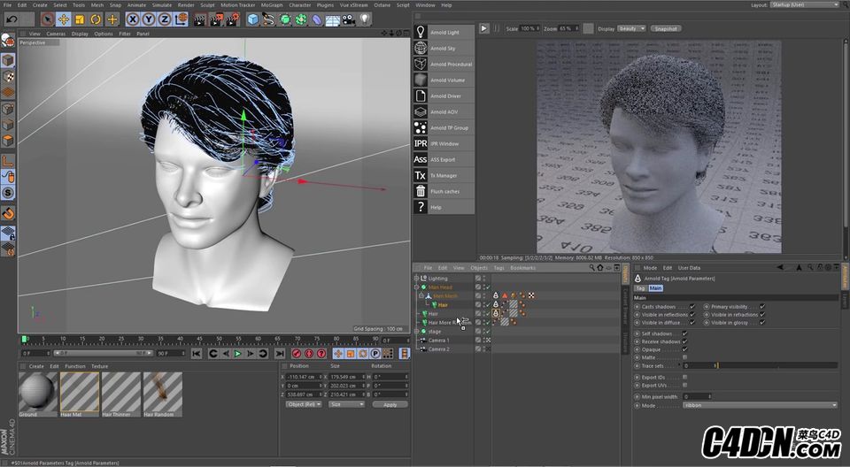 How-to-Use-Hair-Shader-in-Arnold-for-Cinema-4d-1.jpg