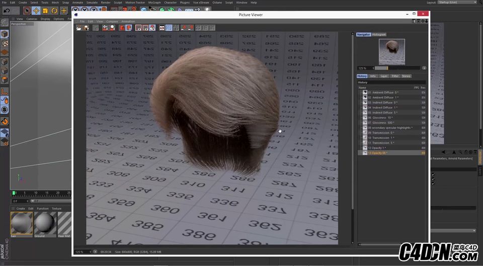 How-to-Use-Hair-Shader-in-Arnold-for-Cinema-4d-3.jpg