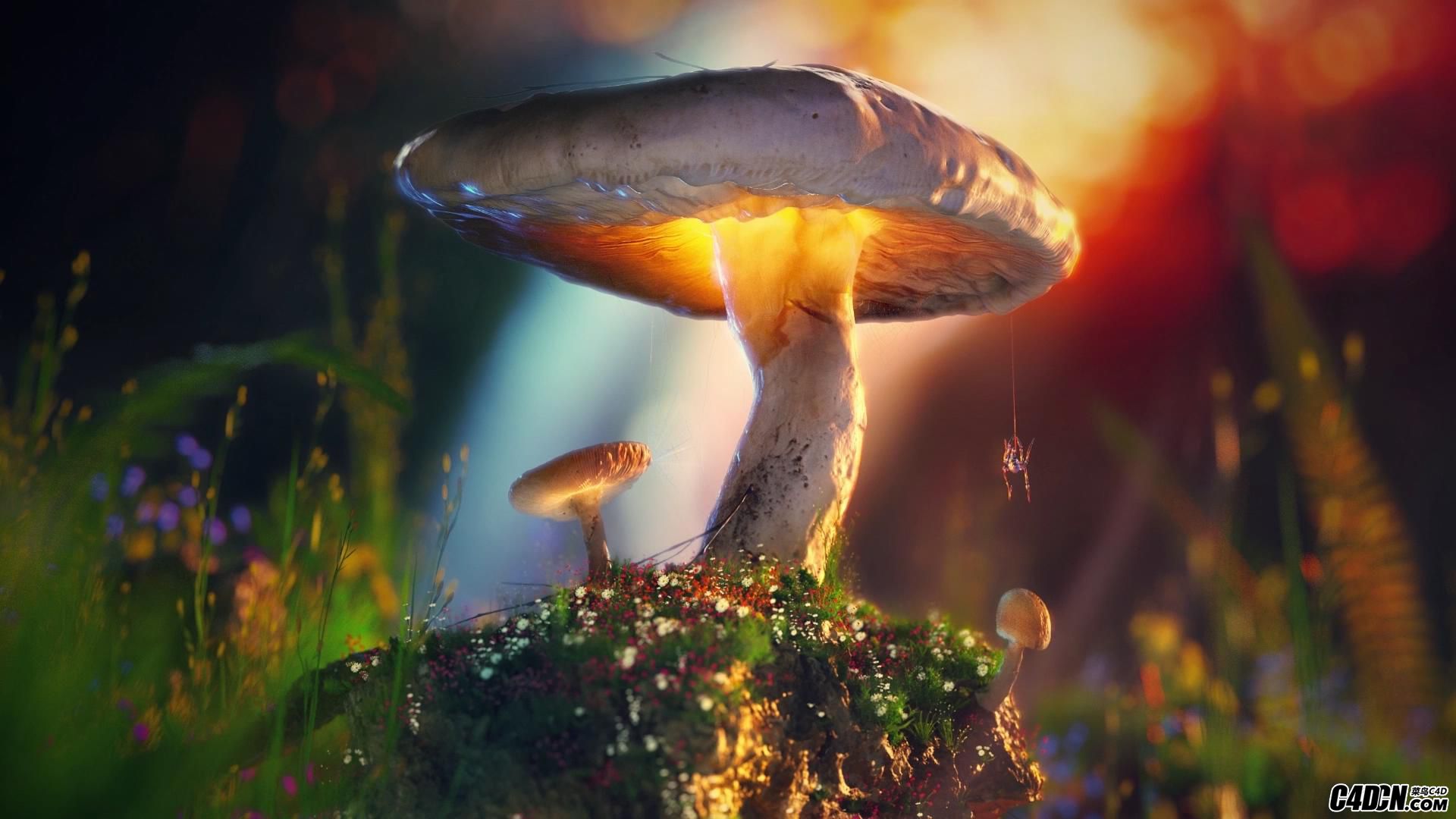 How to create scenes using Megascans with Octane and Cinema 4D -C4DSKY_20170917151052.JPG