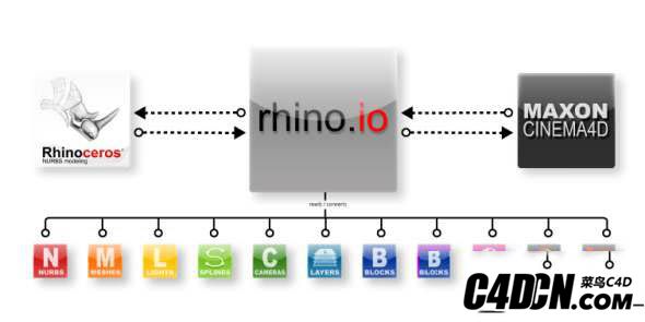 LaubLab-Rhino.IO_.jpg