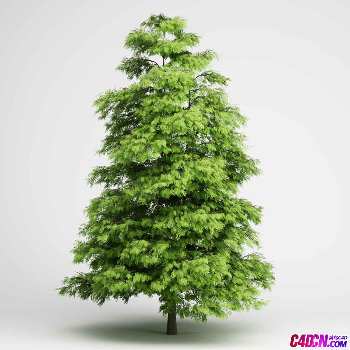 Дерево в 3 d. Деревья для 3d Max. Деревья в 3ds Max. Дерево рендеры 3ds Max. 3d деревья для Sketchup.