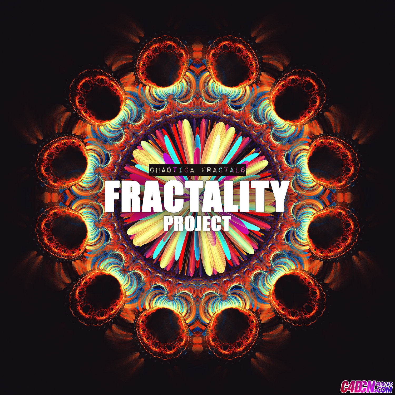 Fractality Project.jpg