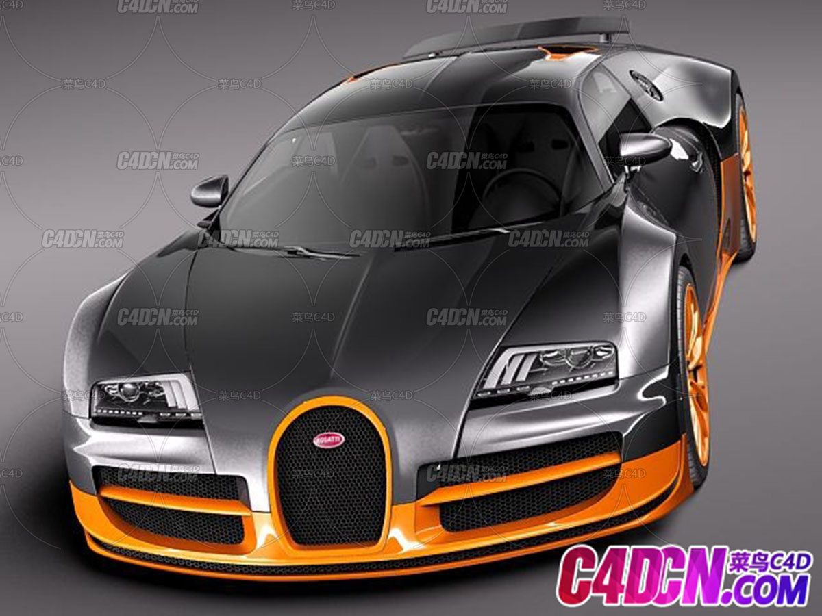 15-bugatti veyron ss 2012 2.jpg