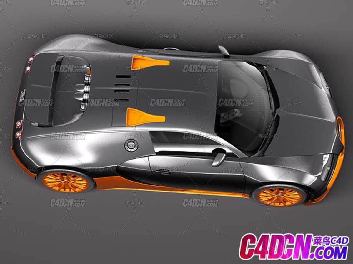 15-bugatti veyron ss 2012 8.jpg