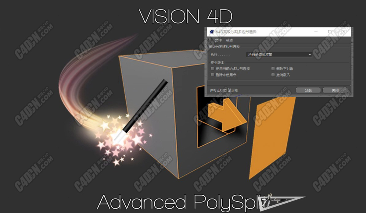 Vision4D Advanced PolySplit.jpg