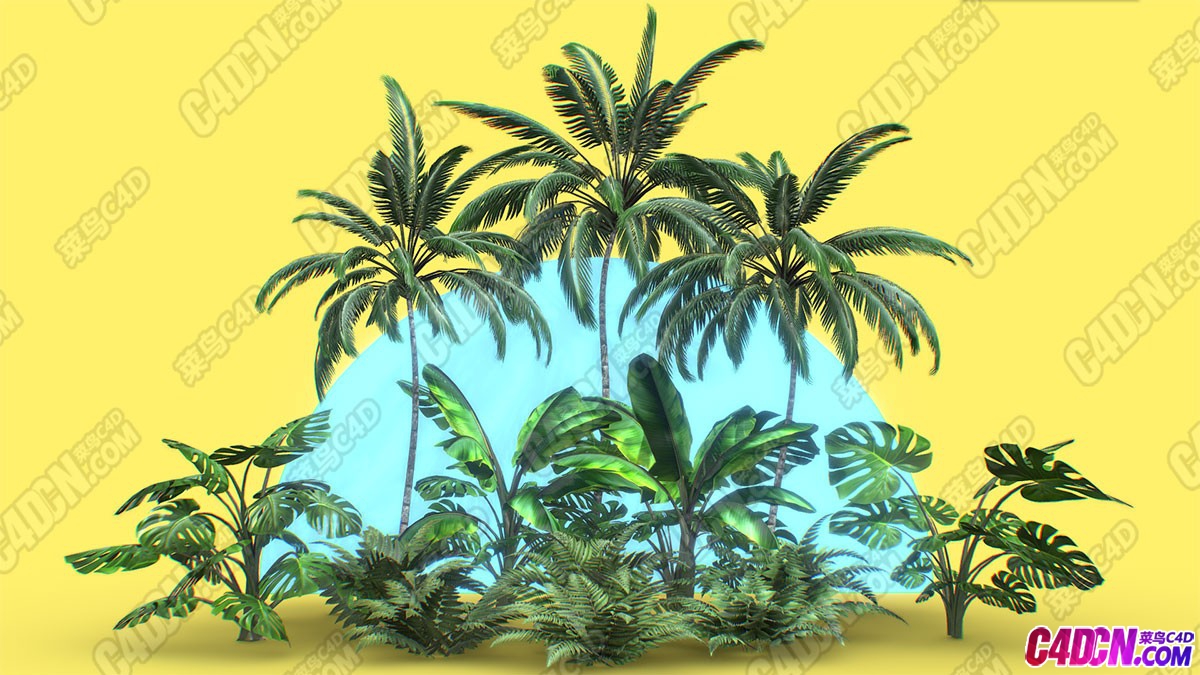 热带装饰阔绿色植物草木植被模型包 Tropical Plants Pack