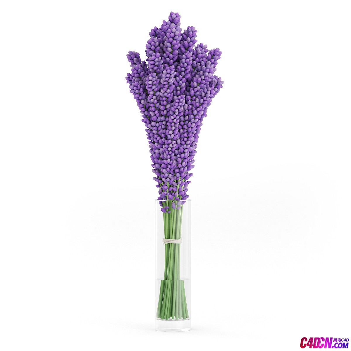 C4Dƿȶģ Violet Lupine in Glass Vase