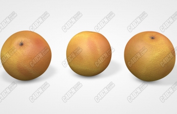 C4Dӳˮģ mandarin orange fruit model