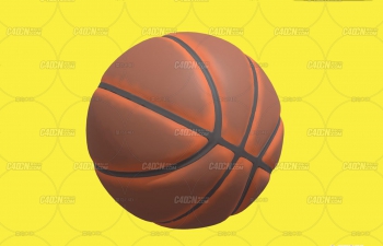 C4D˶ģ Basketball ball used