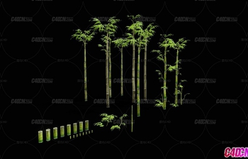 C4Dдʵֲģ Bamboo Set
