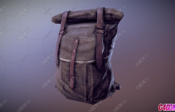 дʵţƤƤ˫߱ģ Backpack