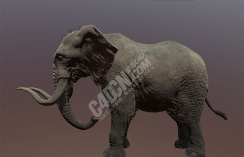 C4D陆地之王大象模型