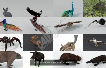 30个森林动物模型合集包（兔子老鹰变色龙黑寡妇狼蛛驼鹿灰熊）