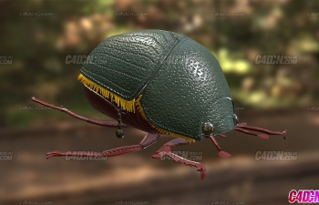 创意皮革甲虫手提包模型