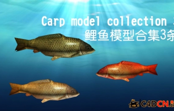 C4Dģͺϼ3Carp model collection 3