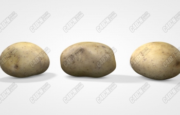 C4Dдʵ߲ģ Realistic Potato Potato Vegetable Mod