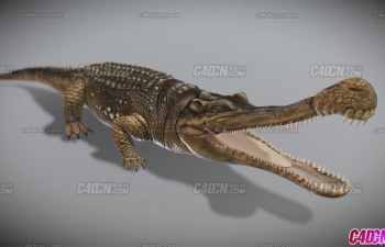 ĴC4Dģ crocodile high detailed