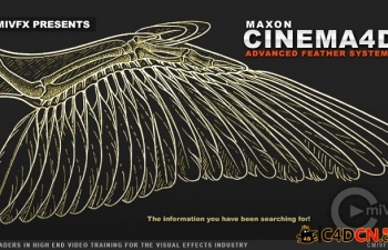 C4D߼ëϵͳ̳cmiVFX - Cinema 4D Advanced Feather Systems