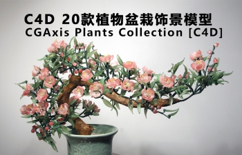 C4D 20ֲξģ CGAxis Plants Collection