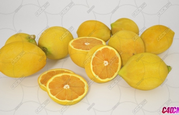 ˮģ Lemons Fruit model