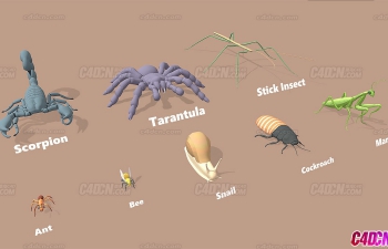 C4D卡通鞋子蜘蛛螳螂甲虫蜗牛蚂蚁昆虫模型
