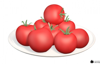 一盘西红柿？