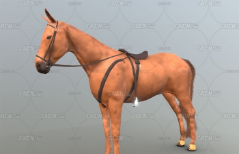 C4D有马鞍的骏马动物模型 Horse with saddle