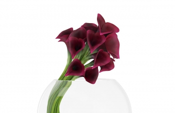C4Dλƿͻģ Calla Lilies in Spherical Vase