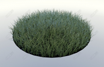 C4DģԤ-дʵݵزƺȾԤ Realistic grass preset