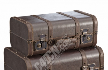 C4DɫƤģ Brown Vintage Suitcases
