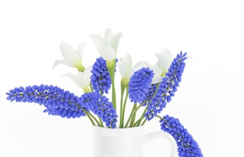C4Dɫմɻƿɫ໨ģ Blue and White Flowers in White Pot