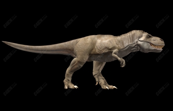 C4Dдʵģ Tyrannosarus rex