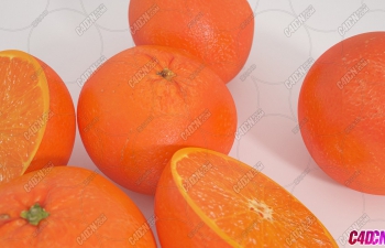 ˮģ Tangerines Fruit model
