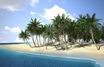 CINEMA 4D热带景观植物树木模型合集