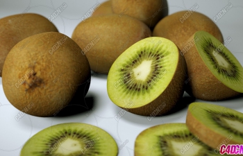 ⨺ˮģ Kiwis Fruit model