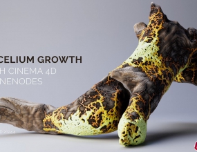 [Ļ]C4Dڵģ˿̳() Mycelium Growth with Cine