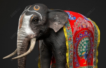 C4D印度大象动物模型 Indian Elephant