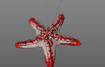 海星C4D模型 starfish