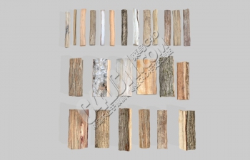 C4D超写实干柴木头树干模型合集