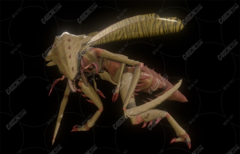 C4D+BLENDERҰ޿ƻöģ Insectoid Monster Rig