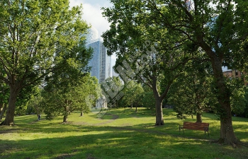 60个高质量树木城市公园小区绿化植物模型合集