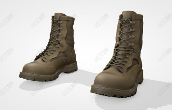 C4DţƤЬѥӵɽЬ Danner 15660X Boots