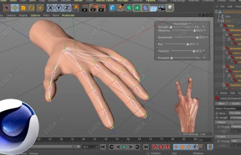 C4D骨骼绑定模拟手指弯曲装配动画教程