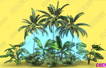 ȴװɫֲľֲģͰ Tropical Plants Pack