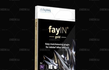 QL20220716AP-62 AE摄像机高级反求追踪插件 fayteq fayIN GOLD v2.4 WIN+MAC cc2014-2