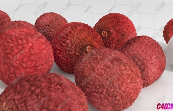 ֦ˮģ Lychees Fruit model