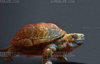 C4D尾巴分叉的海洋动物乌龟模型下载 Turtle Model