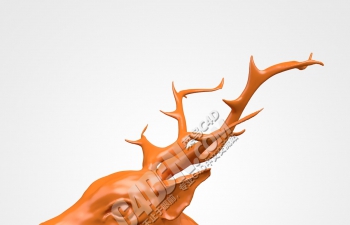 C4D驯鹿动物头部模型 Stag Head